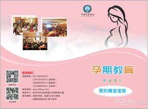 優(yōu)生優(yōu)育 武漢孕產(chǎn)期培訓(xùn)，給寶寶最好的選擇——武漢指尖優(yōu)品
